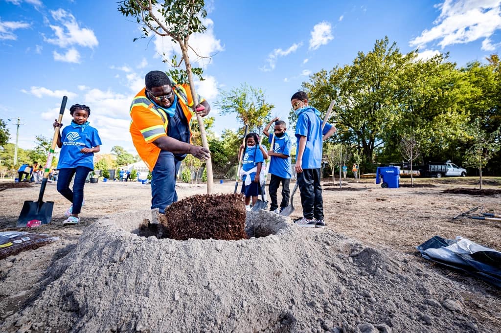 A student shovelling soil around a newly planted tree, classmates behind