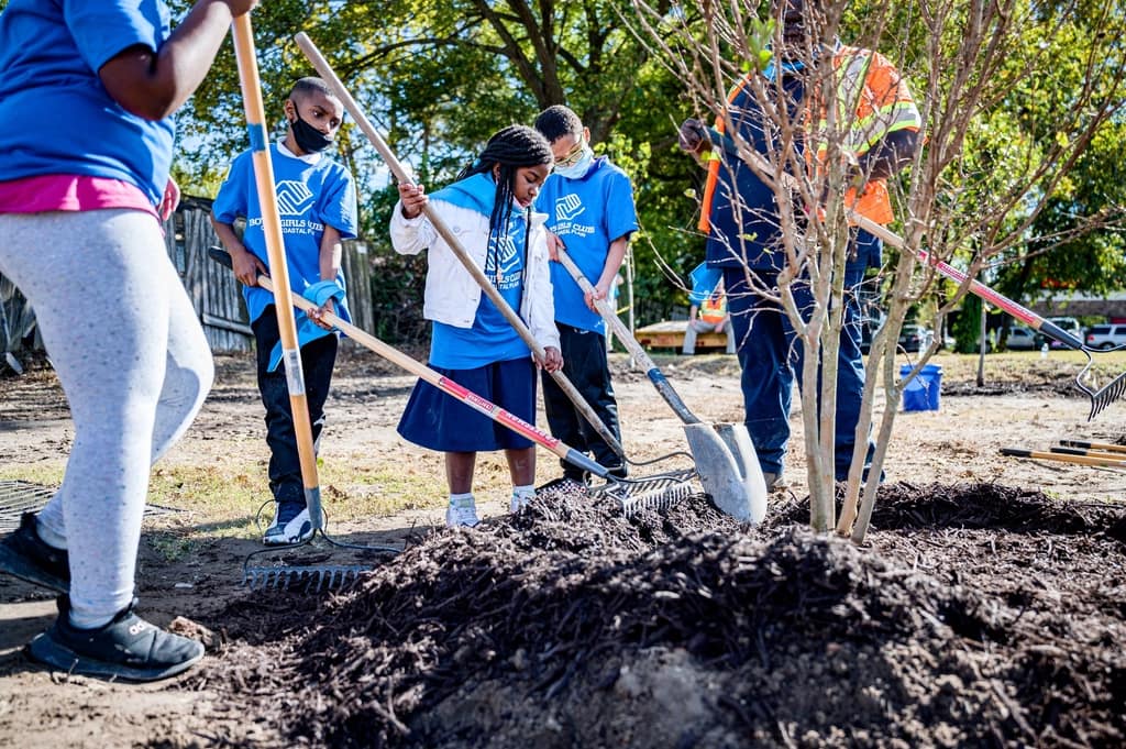Students planting saplings during a tree drive