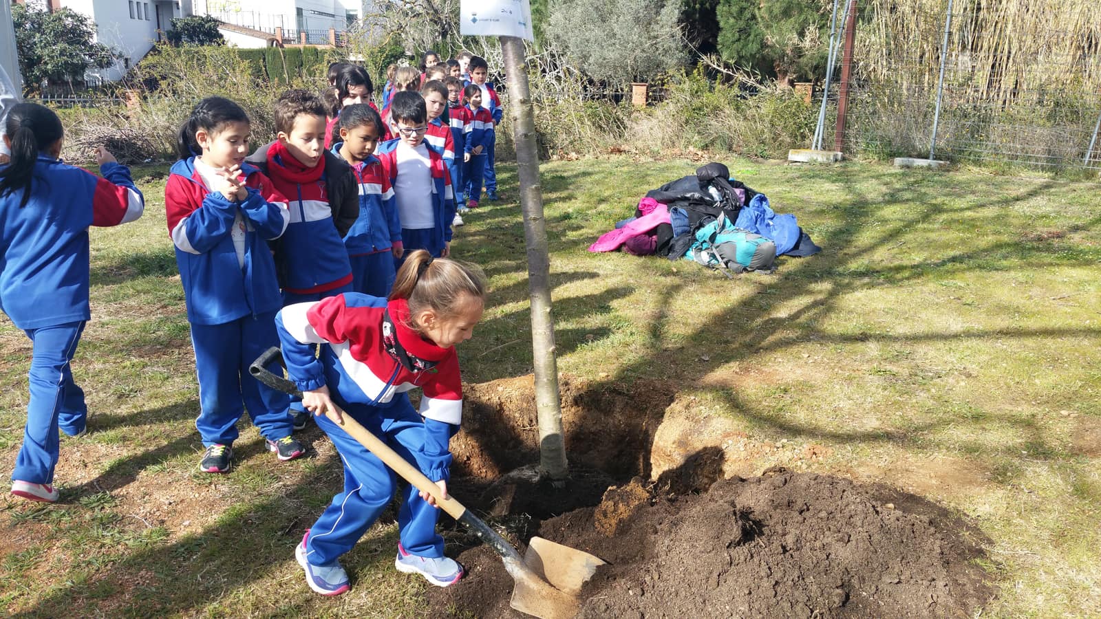 School students in uniform digging a planting pit with a spade